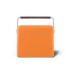 Gin Trunk / Orchard Orange