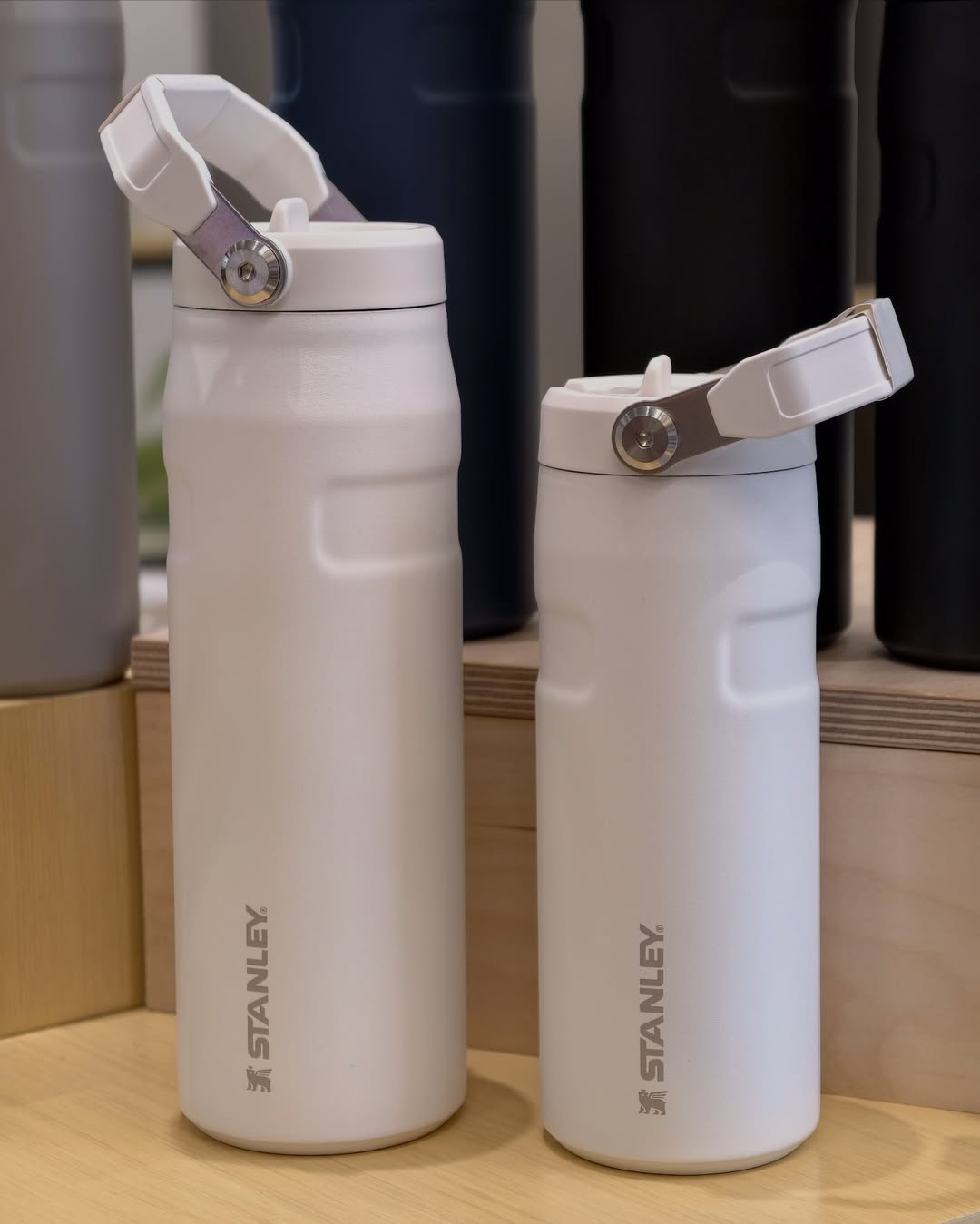 Stanley Flip Water Bottle 0.47L 16oz