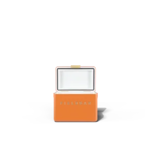 Fieldbar 4L Mini Bar cooler box in Orchard Orange, shown open from the front